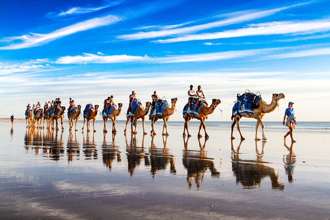Broome Pre-Sunset Camel Tour 30 Minutes - Whats Included in the Tour