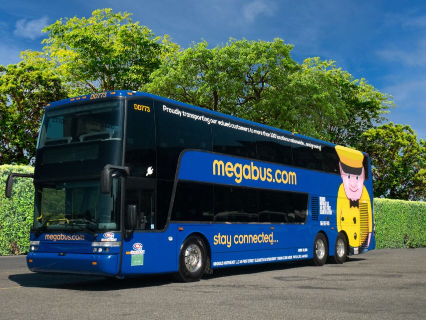 Bus Travel Between Washington DC and New York - Bus Features and Amenities