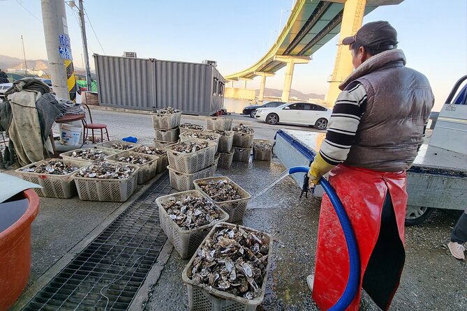 Busan Oyster Village Tour With Oyster Cuisines in Winter - What to Prepare For