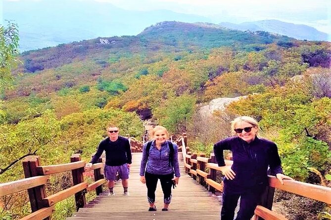 Busan Private Hiking Tour : Panoramic Views Awaits - Private Tour Benefits Uncovered