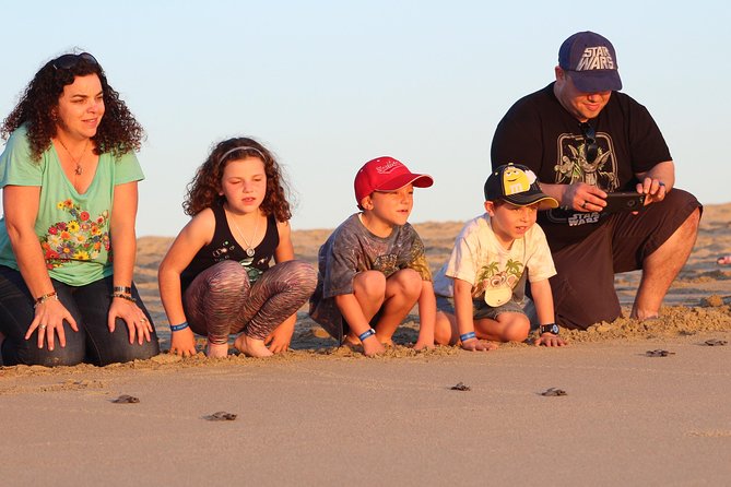 Cabo Sea Turtles Release With Marine Biologist  - Cabo San Lucas - Operational Details