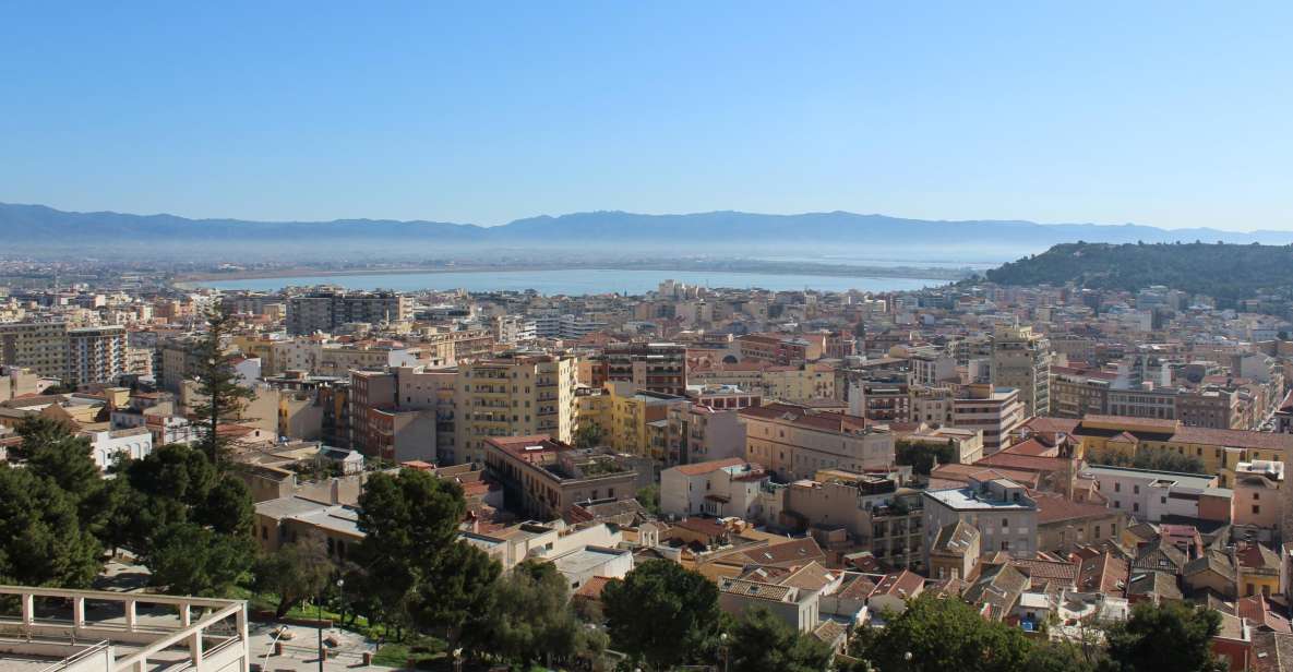 Cagliari: Shore Excursion and City Highlights Tour - Language Options and Highlights