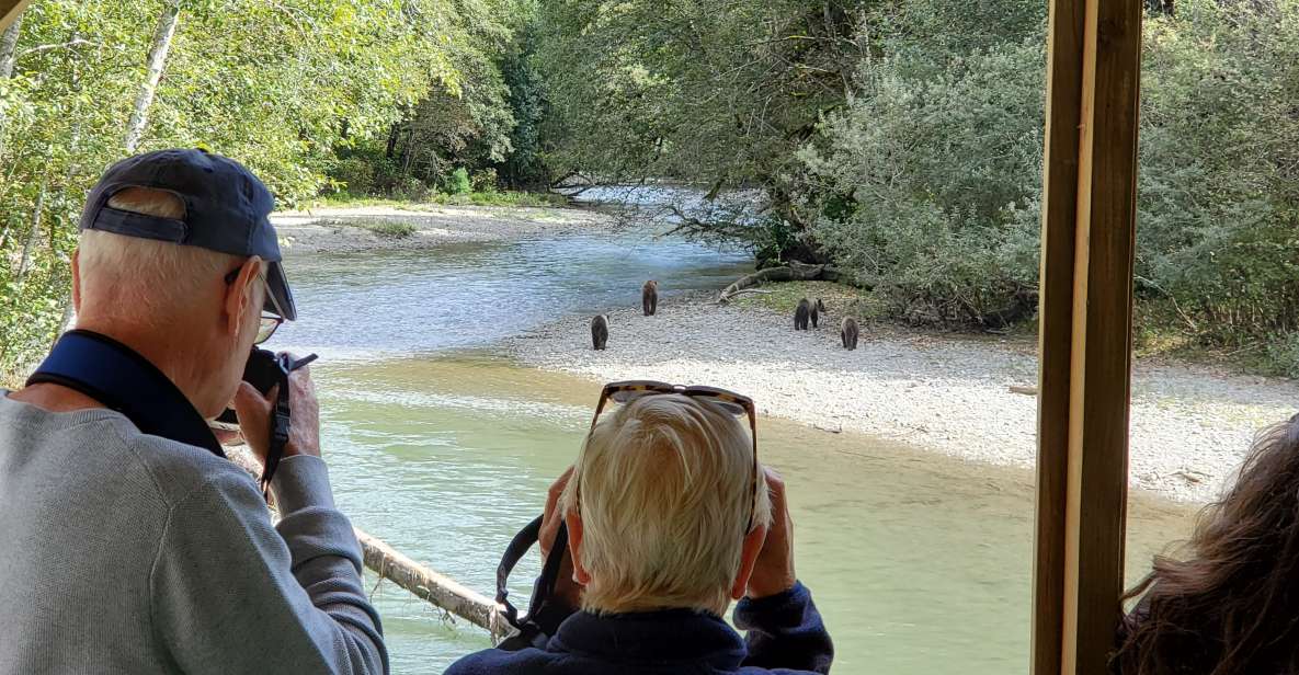 Campbell River: Grizzly Bear-Watching Tour With Lunch - Tour Experience