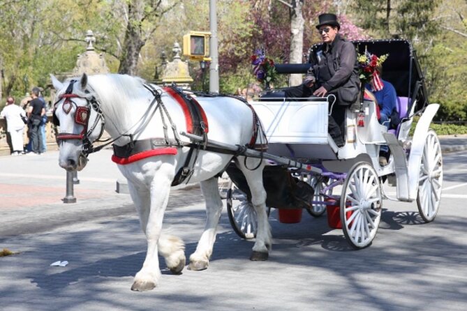 Central Park and NYC Horse Carriage Ride OFFICIAL ( ELITE Private) Since 1970 - Tour Overview