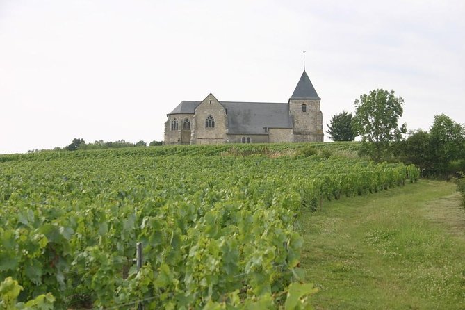 Champagne Private Vineyard Day Tour With Tastings and Lunch  - Reims - Customizable Itinerary