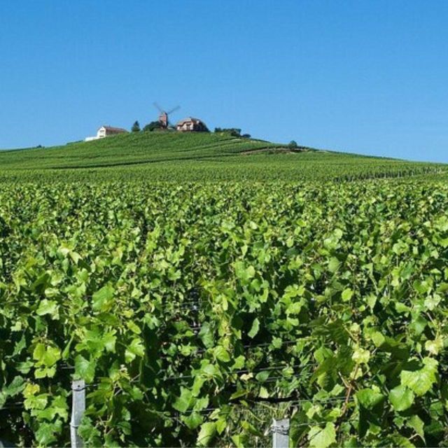 Champagne Region From Paris: Reims and Champagne Tasting - Champagne Tasting Itinerary