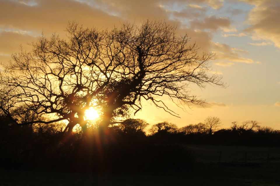 Chichester and West Sussex Photography and Tourist Tours - Activity Description