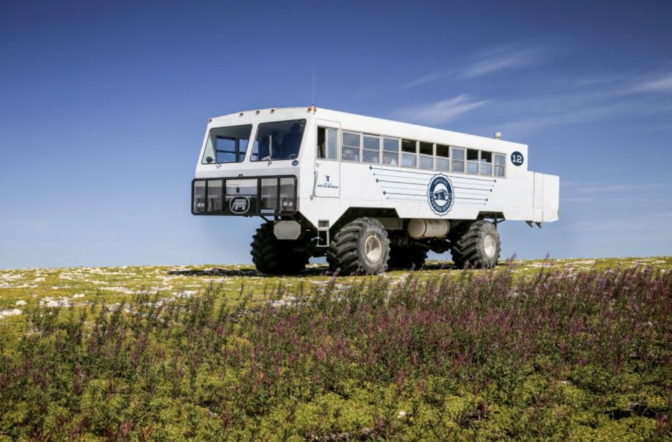 Churchill: Exclusive Tundra Buggy Day Trip - Pricing and Duration