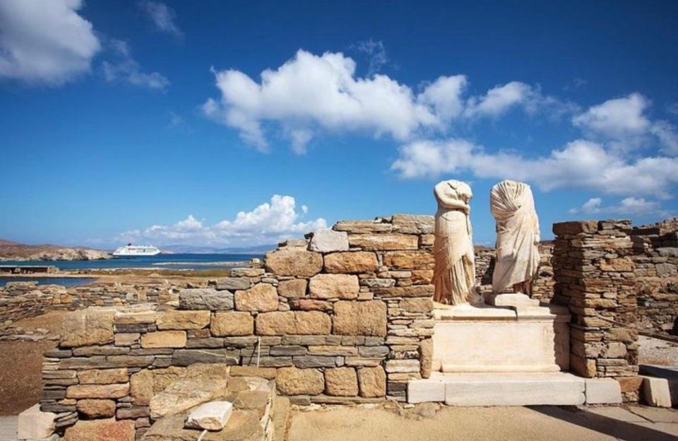 Delos and Mykonos One Day Cruise From Naxos - Booking Information