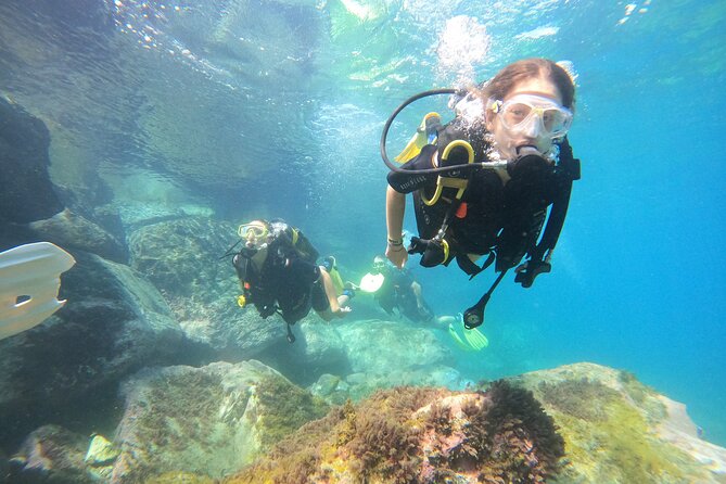Discover Scuba Dive in Gran Canaria - Reviews and Rating
