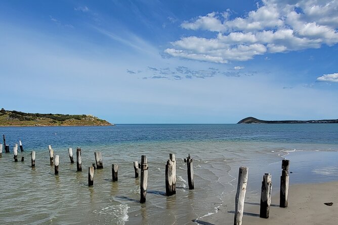 Discover Victor Harbor Walking Tour - Accessibility and Inclusions Explained