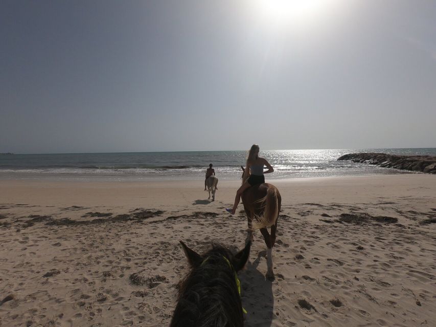 Djerba: 2-Hour Lagoon Horse Riding Experience - Booking Information