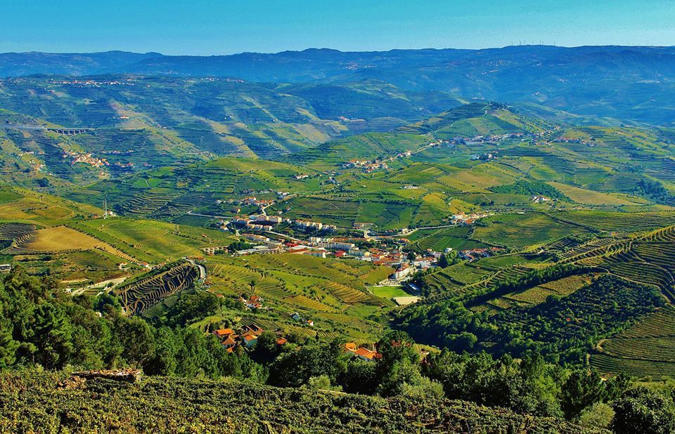 Douro Valley Full-Day Tour With Wine Tasting & Lunch - Pricing Information