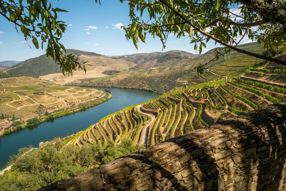 Douro Valley: Premium Full-Day Tour Experience - Tour Activities and Inclusions
