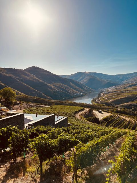 DOURO VALLEY With Three Winery Visits and Lunch in a Winery - Tour Experience
