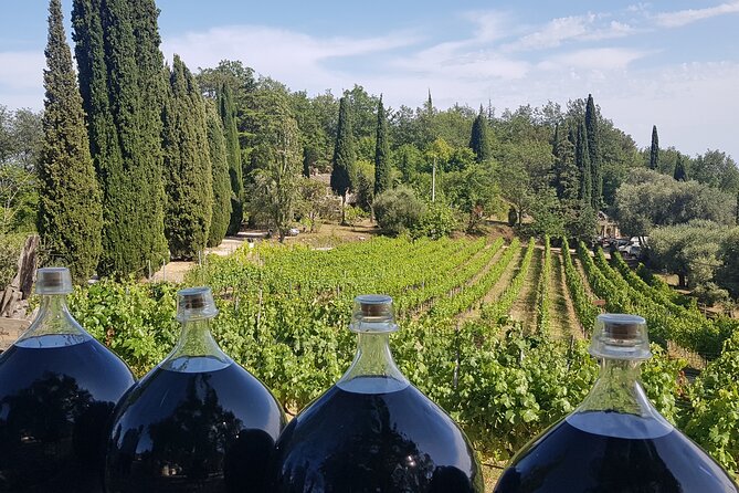 Exclusive Provence Wine Tour-Private Day for 2-3 People From Nice - Private Tour Inclusions