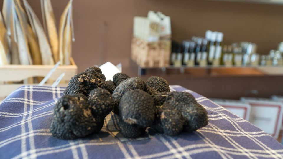 Florence: Truffle Hunting and Vinci With Lunch and Winery - Itinerary