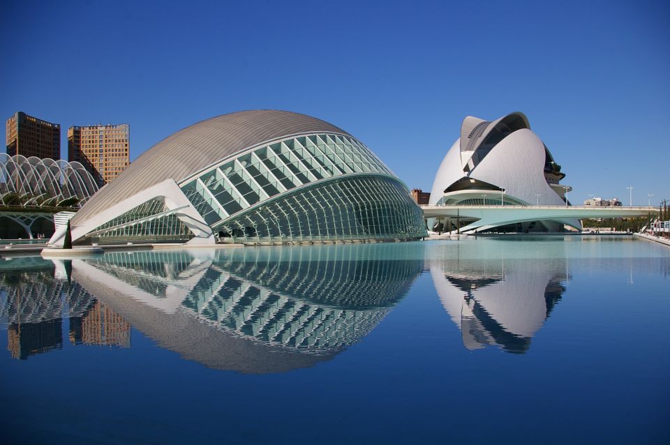From Alicante: Valencia Full-Day Guided Tour - Language Options and Private Group