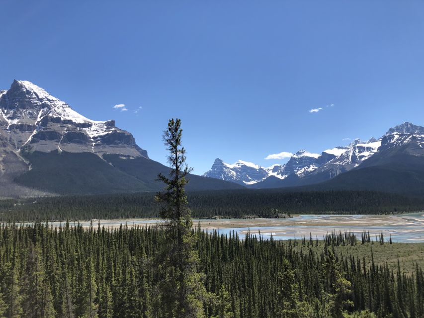 From Banff: Icefield Parkway Scenic Tour With Park Entry - Itinerary