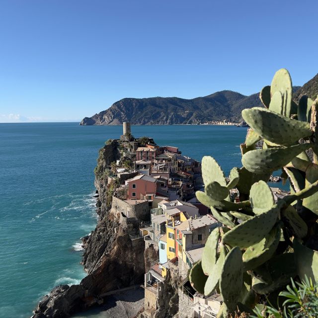 From Florence: Cinque Terre&Pisa Private Day Tour W/Transfer - Pricing and Duration