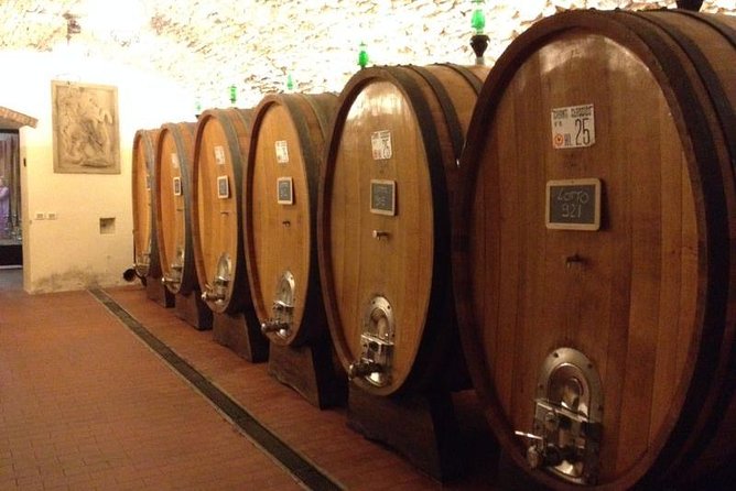 From Florence: Small-Group Tuscany Wine & Oil Tour With Typical Tuscan Meal - Tour Highlights