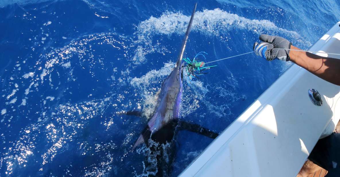 From Funchal : Big Game Fishing Boat Trip - Location Details
