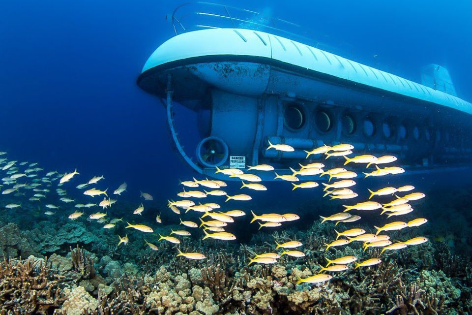 From Kona: Big Island Underwater Submarine Adventure - Experience Highlights