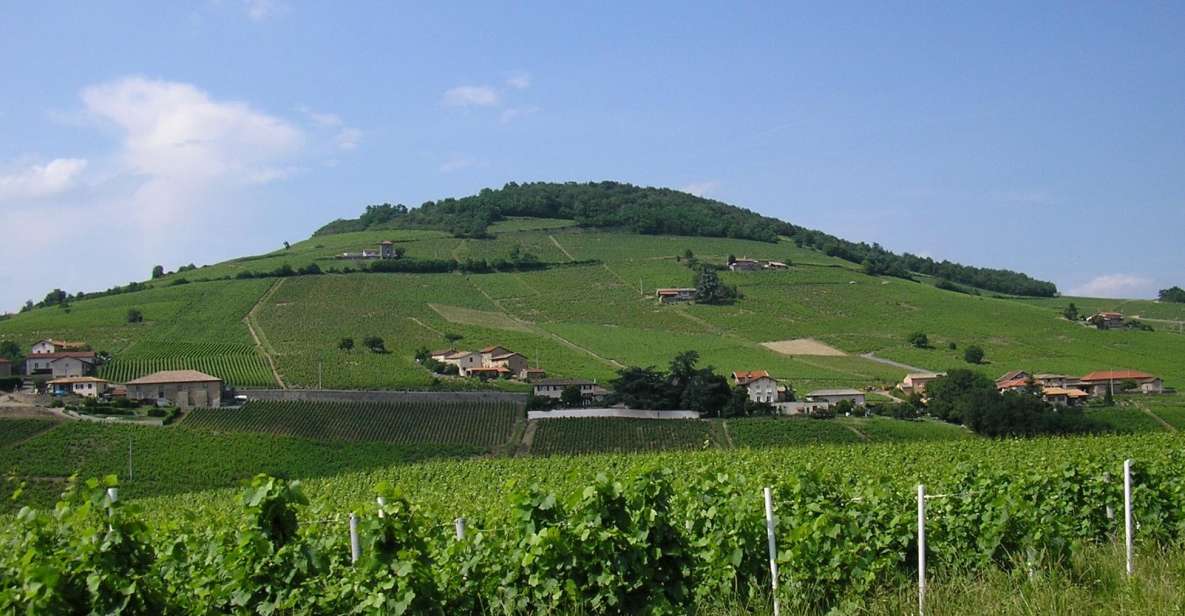 From Lyon: Beaujolais Region Wine Tour With Tastings - Tour Provider Details