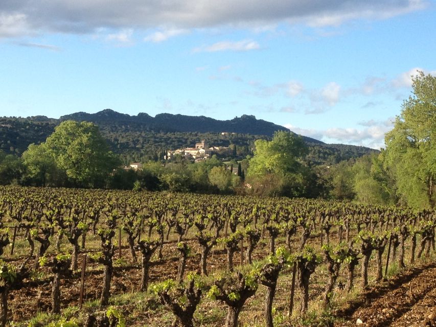 From Montpellier: Pic Saint-Loup Wine and Food Tour - Itinerary Highlights
