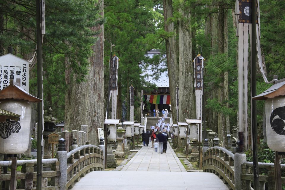 From Osaka: Mt. Koya Private Walking and Train Tour - Experience Highlights