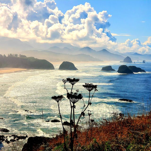 From Portland: Oregon Coast Adventure Day Tour With Pickup - Itinerary Highlights