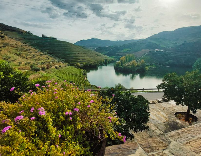 From Porto: Full-Day Douro Valley Wine Tour - Tour Duration and Languages