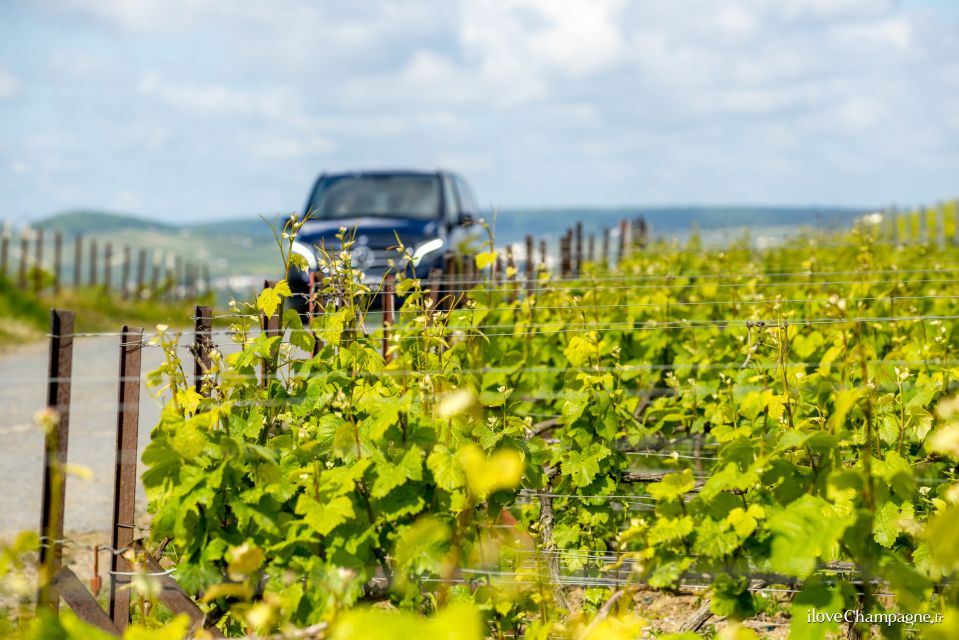 From Reims: Champagne and Family-Run Wineries Tour - Tour Details