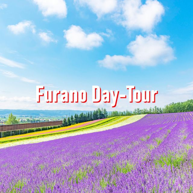 From Sapporo: 10-hour Customized Private Tour to Furano - Itinerary Details