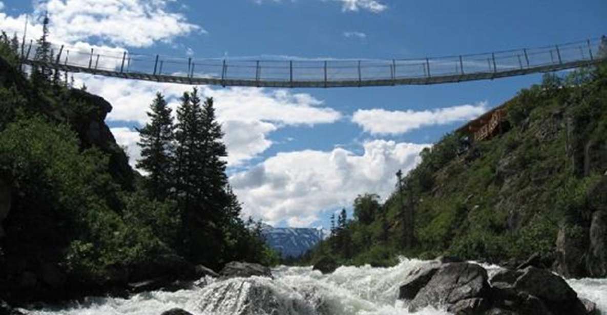 From Skagway: White Pass and Yukon Suspension Bridge Tour - Tour Highlights