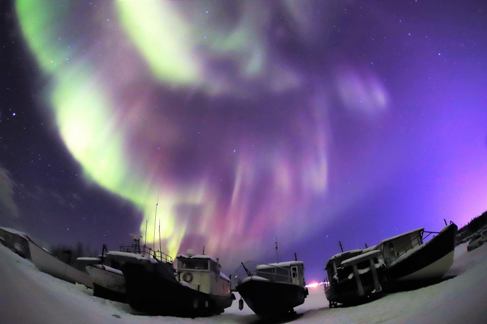 From Yellowknife: Northern Lights Bus Tour With Photos - Tour Highlights
