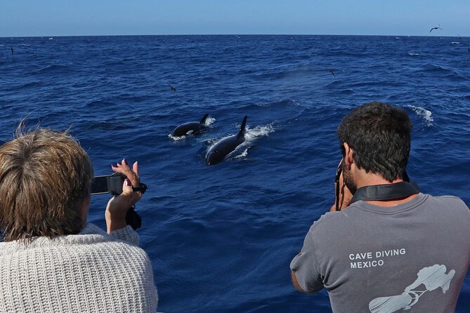 Full-Day Killer Whale Expedition From Albany - Onboard Amenities