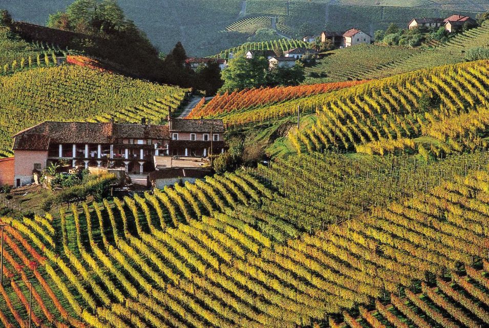 Full-Day Langhe Region Tour With Wine Tasting Experience - Itinerary