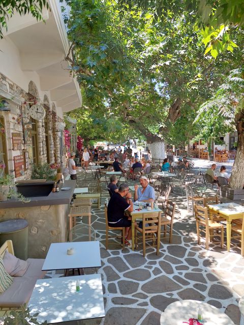 Full-Day Private Tour and Local Food in Naxos Villages - Activity Description