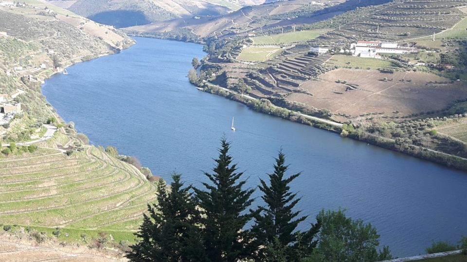 Full-Day Private Tour (Porto City + Douro Valley) - Activity Description