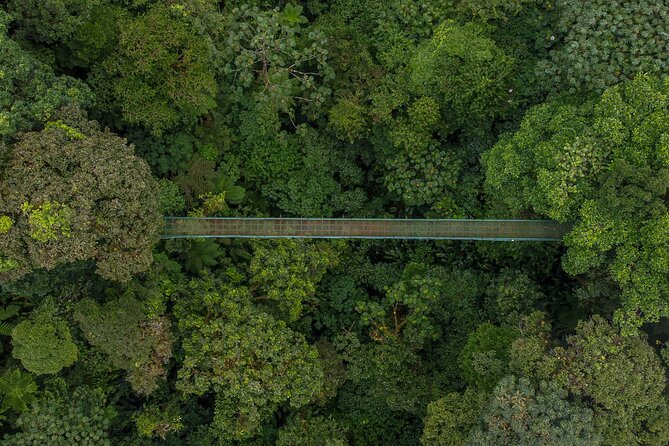 Full Monteverde Cloud Forest Experience With Ziplining. - Selvatura Park Activities