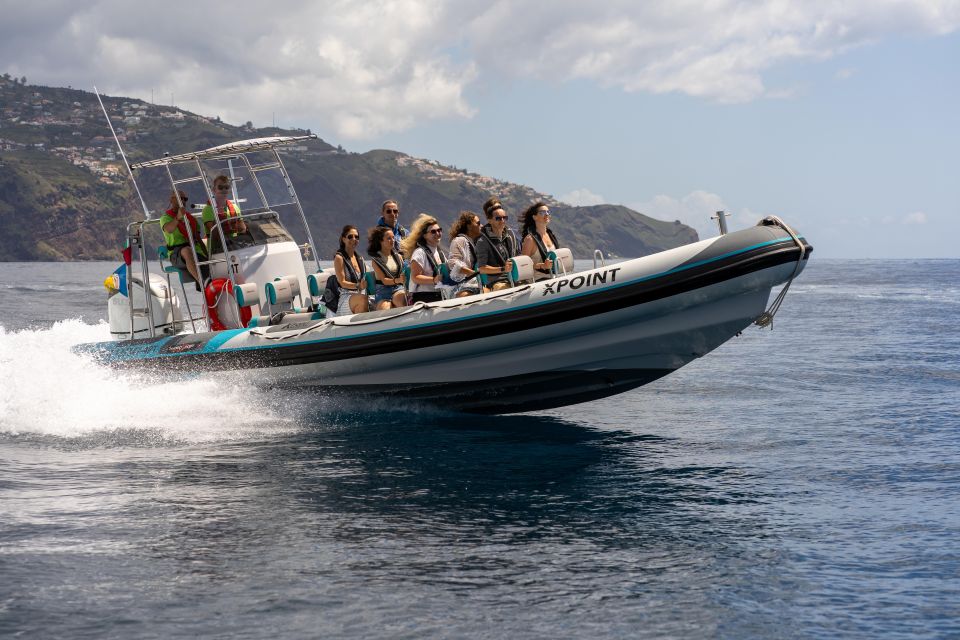 Funchal: Dolphins and Whales Watching Tour by RIB Boat - Activity Provider Details