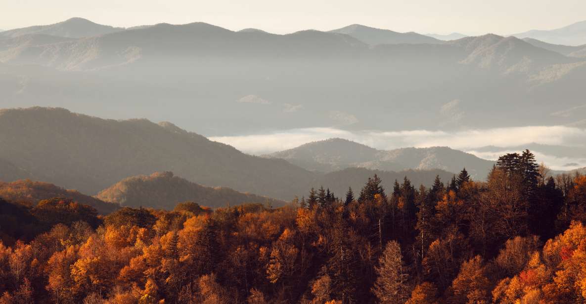 Gatlinburg: App-Based Great Smoky Mountains Park Audio Guide - Ratings and Validity