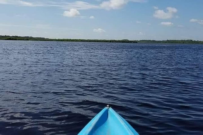 Guided Wildlife Eco Kayak Tour in New Smyrna Beach - Cancellation Policy