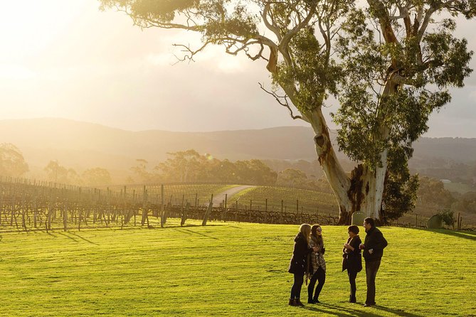 Hahndorf and Adelaide Hills Hop-On Hop-Off Winery Tour From City - Itinerary and Schedule Details