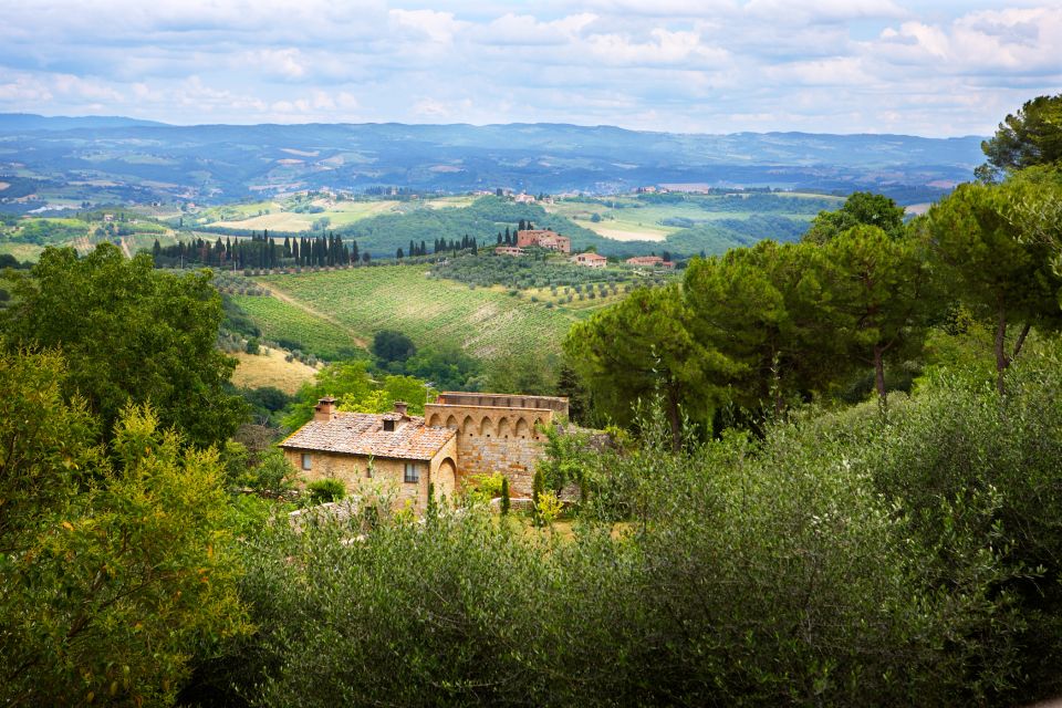 Half-Day Tour of San Gimignano From Florence - Tour Highlights