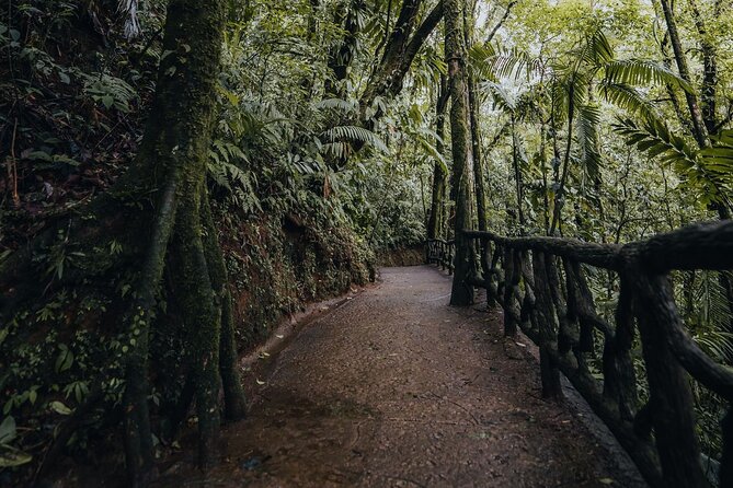 Hanging Bridges Walk in Arenal Volcano - Cancellation Policy Details