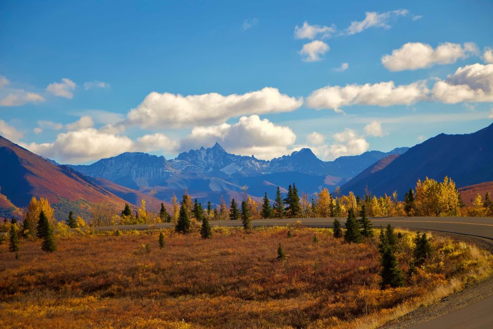 Healy: Denali National Park Self-Guided Jeep Adventure - Customer Review