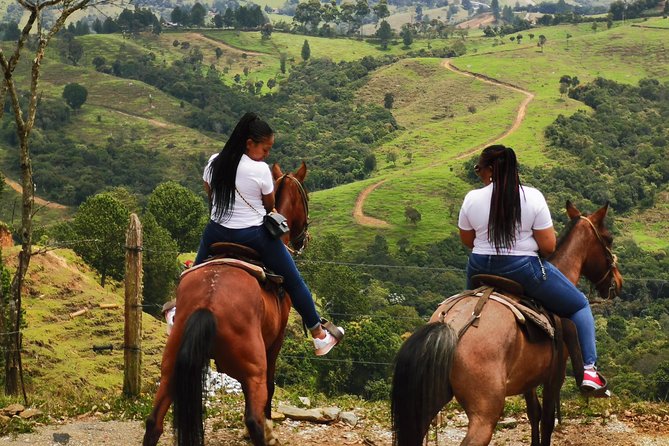 Horseback Riding in Medellin: Private Tour - Tour Information