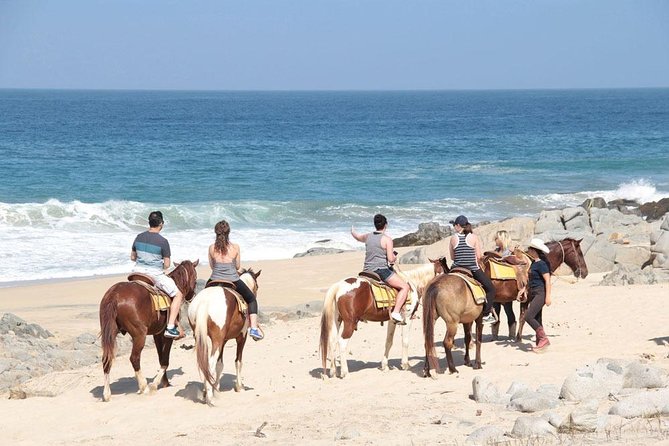 Horseback Riding on The Beach and Through The Desert! - Booking and Logistics